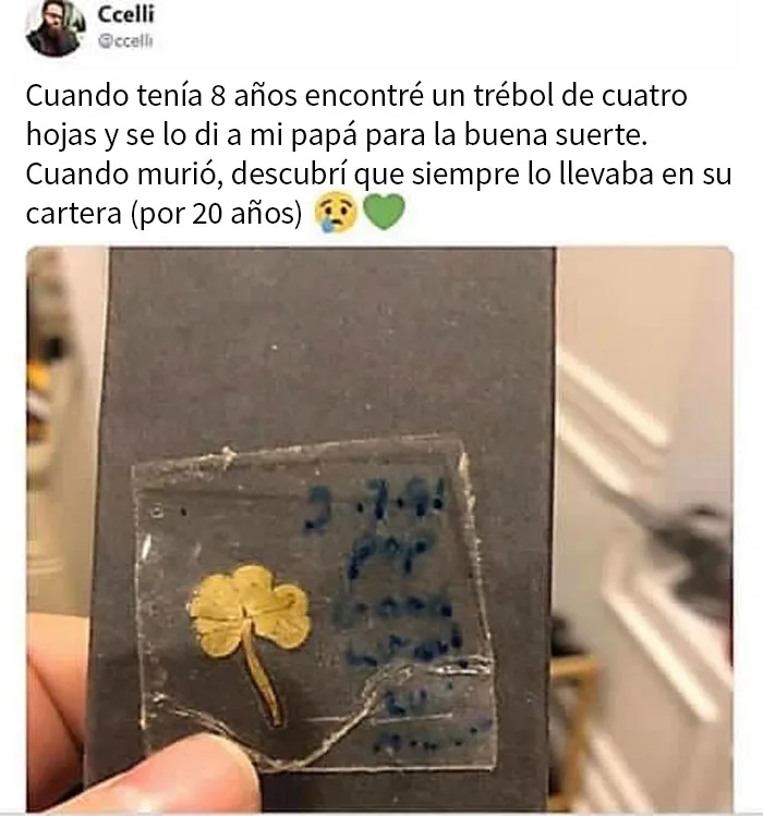 20 Memes reconfortantes que nos recuerdan que el mundo no es del todo malo