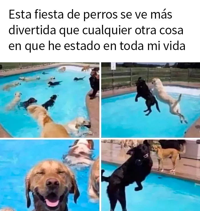 20 Memes reconfortantes que nos recuerdan que el mundo no es del todo malo