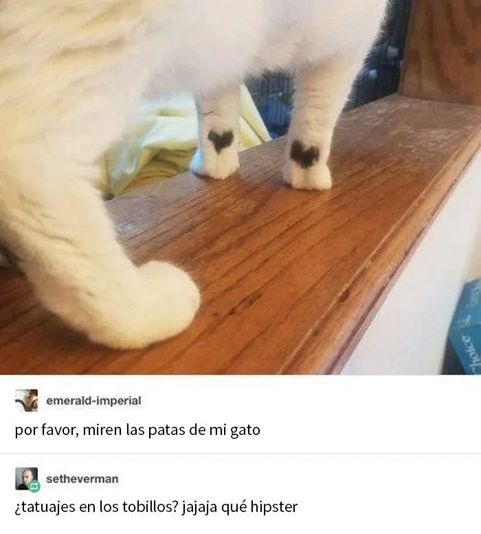 20 Memes reconfortantes que nos recuerdan que el mundo no es del todo malo