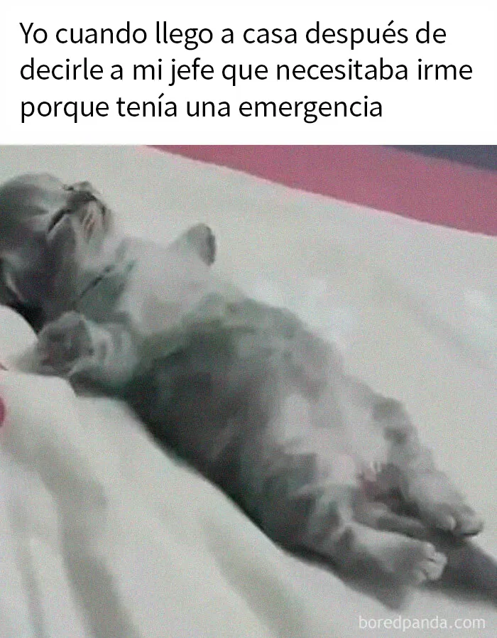 Este Instagram comparte memes dolorosamente divertidos para los días en los que simplemente no puedes reír (20 imágenes)