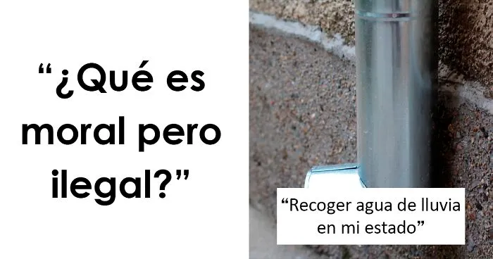 "¿Qué es moral pero ilegal?": 20 personas comparten algunas de las leyes más tontas del mundo