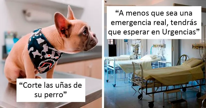 20 Personas de diferentes profesiones comparten aquello que el público generalmente desconoce
