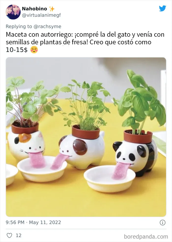 20 Personas comparten sus compras impulsivas de menos de 30$ que valieron totalmente la pena