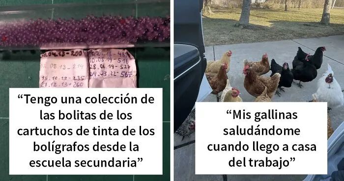 40 Personas que vieron algo «bastante interesante» y lo compartieron en este grupo online (nuevas fotos)