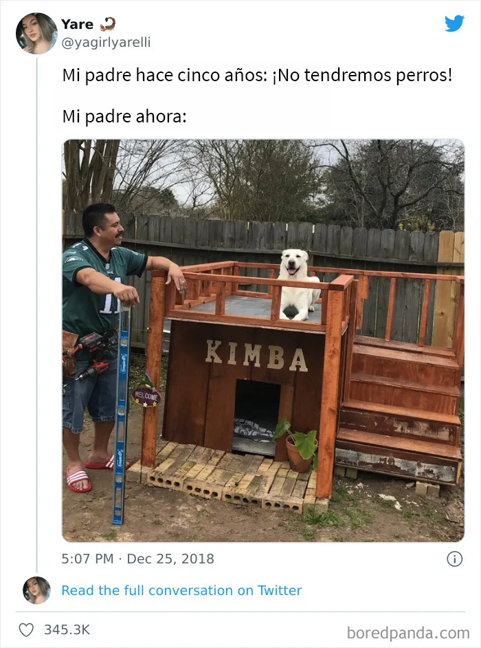 20 Razones por las que los perros son mejores que los gatos, con fotos y memes que lo demuestran