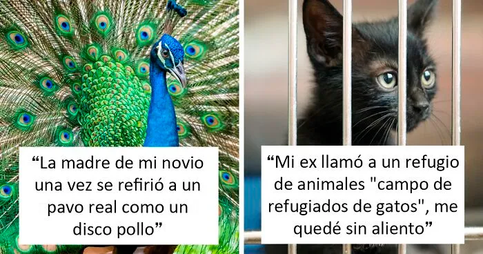 34 Personas que no se acordaban de cómo se llamaba una cosa y se inventaron un nuevo nombre más gracioso
