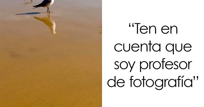 40 Fotos de pájaros tan terribles como divertidas, compartidas en este grupo de Facebook