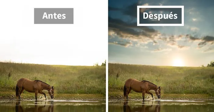 Quiero mostrarles algunas de las lecciones de fotografía que he aprendido con estas 19 fotos