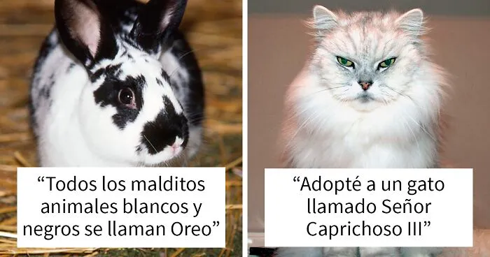 20 Nombres de mascotas que los miembros de esta comunidad en línea piensan que son los peores