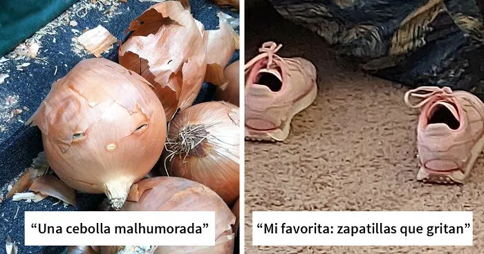 30 Divertidos ejemplos de pareidolia en objetos compartidos por la comunidad de Bored Panda