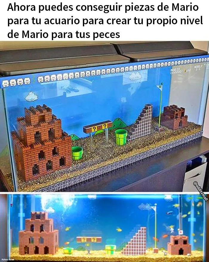 ¡Me encanta esta idea!