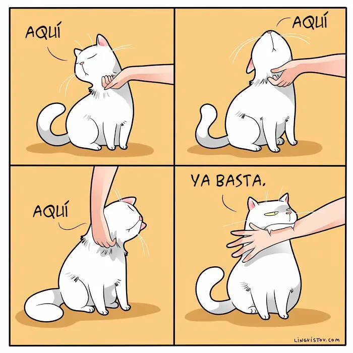 Esta artista ilustra cómo es vivir con un gato (25 nuevos cómics)