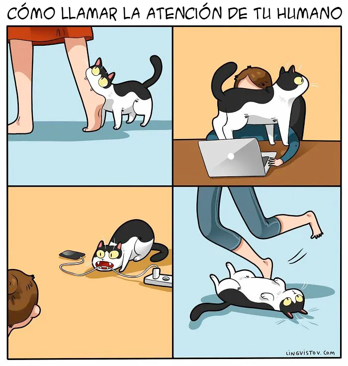 Esta artista ilustra cómo es vivir con un gato (25 nuevos cómics)