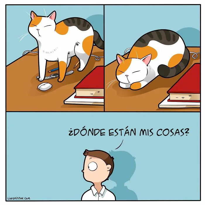 Esta artista ilustra cómo es vivir con un gato (25 nuevos cómics)