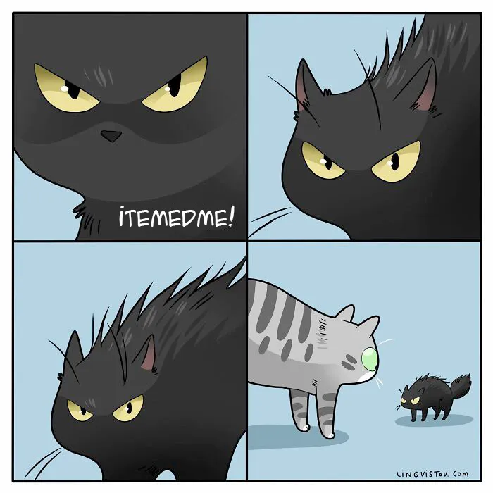 Esta artista ilustra cómo es vivir con un gato (25 nuevos cómics)