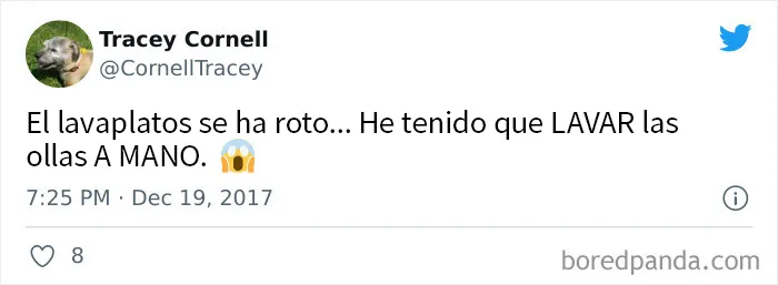 20 Incómodos inconvenientes menores que la gente considera "problemas de clase media"