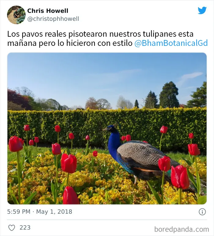 20 Incómodos inconvenientes menores que la gente considera "problemas de clase media"
