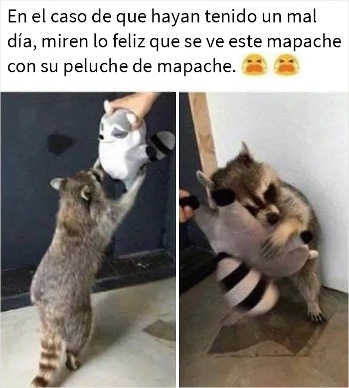 Más de 2 millones de personas siguen esta página de Facebook por su contenido reconfortante y aquí traemos 20 de sus mejores publicaciones