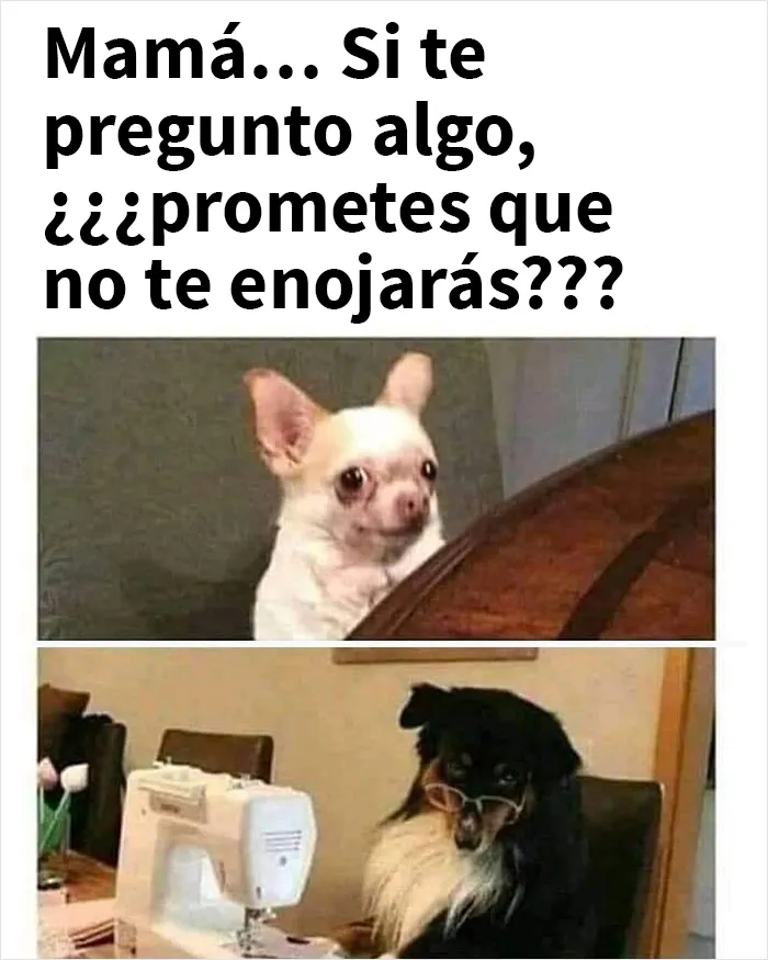 Más de 2 millones de personas siguen esta página de Facebook por su contenido reconfortante y aquí traemos 20 de sus mejores publicaciones