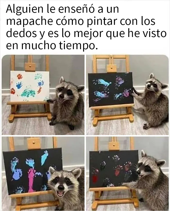 Más de 2 millones de personas siguen esta página de Facebook por su contenido reconfortante y aquí traemos 20 de sus mejores publicaciones