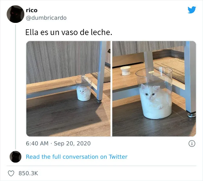Más de 2 millones de personas siguen esta página de Facebook por su contenido reconfortante y aquí traemos 20 de sus mejores publicaciones
