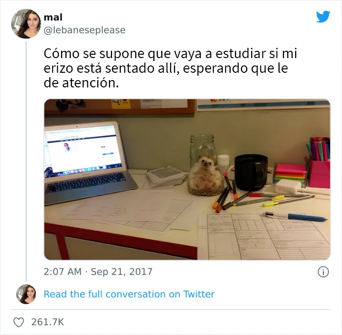 Más de 2 millones de personas siguen esta página de Facebook por su contenido reconfortante y aquí traemos 20 de sus mejores publicaciones