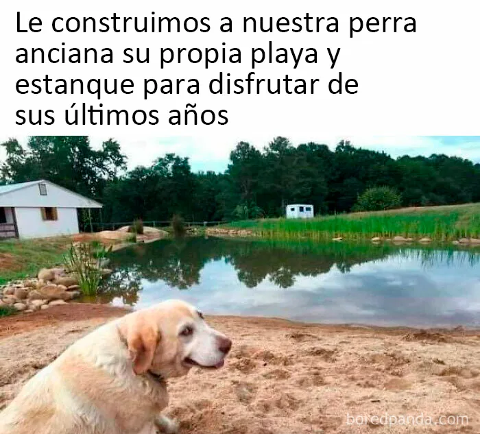 20 Publicaciones reconfortantes de este grupo de Facebook para restaurar tu fe en la humanidad