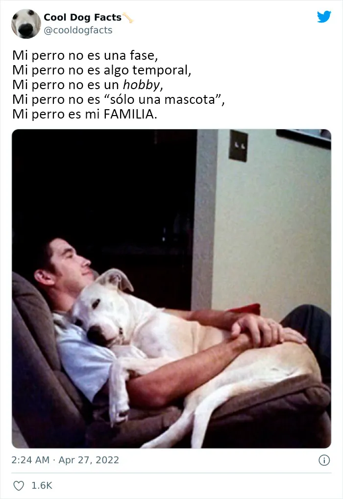 25 Tuits que demuestran que los perros son realmente los mejores amigos del hombre, compartidos por esta cuenta de Twitter