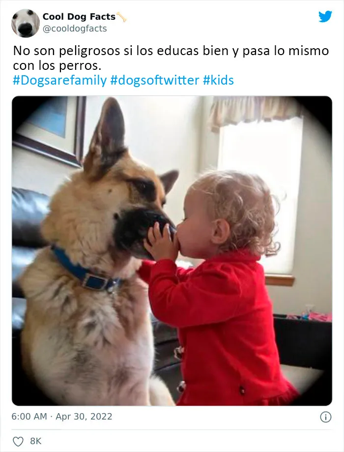 25 Tuits que demuestran que los perros son realmente los mejores amigos del hombre, compartidos por esta cuenta de Twitter