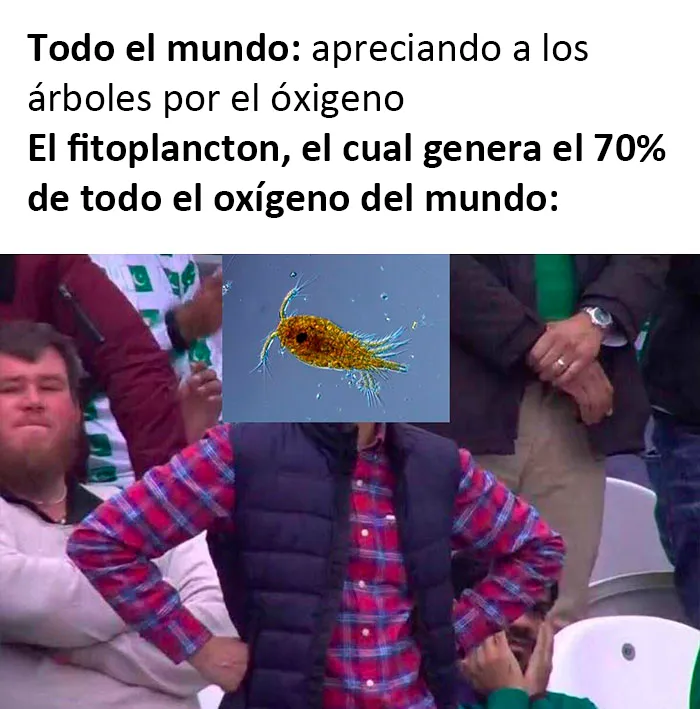 20 Memes de ciencia que han sido probados científicamente para causar risa (nuevas fotos)