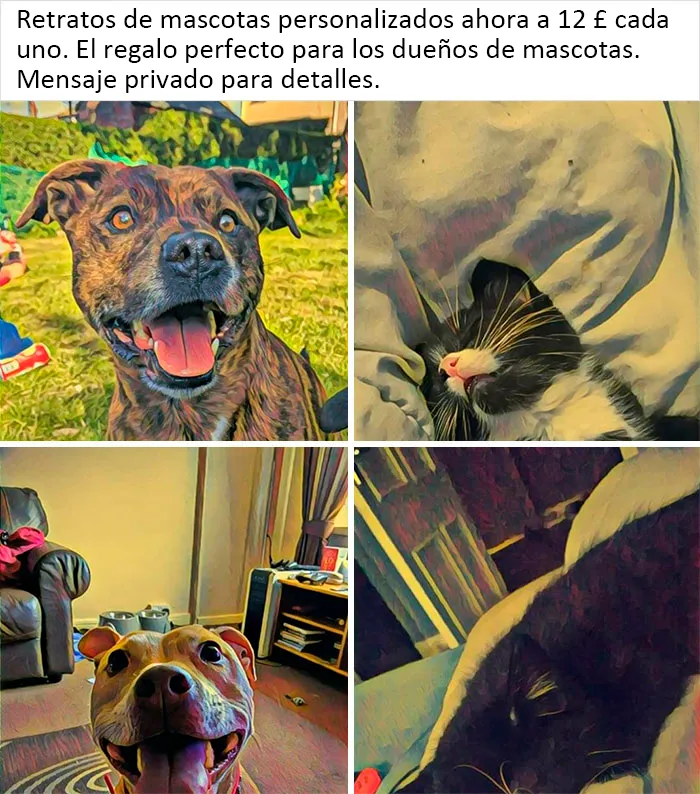 Está claro que sólo aplica un filtro a la imagen