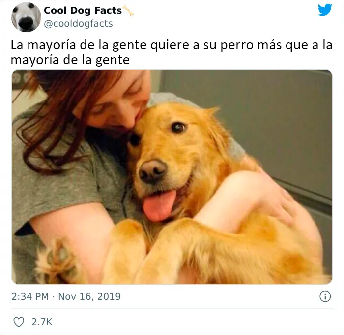 25 Tuits que demuestran que los perros son realmente los mejores amigos del hombre, compartidos por esta cuenta de Twitter