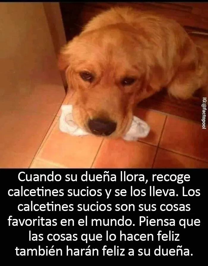 20 Publicaciones reconfortantes de este grupo de Facebook para restaurar tu fe en la humanidad