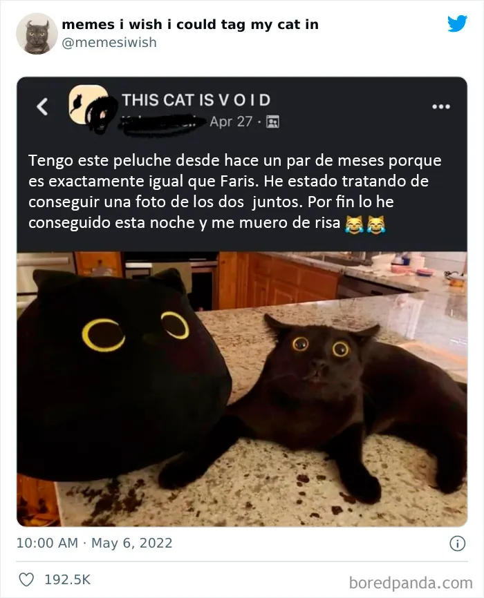 20 Tuits divertidos y acertados sobre la vida con perros y gatos