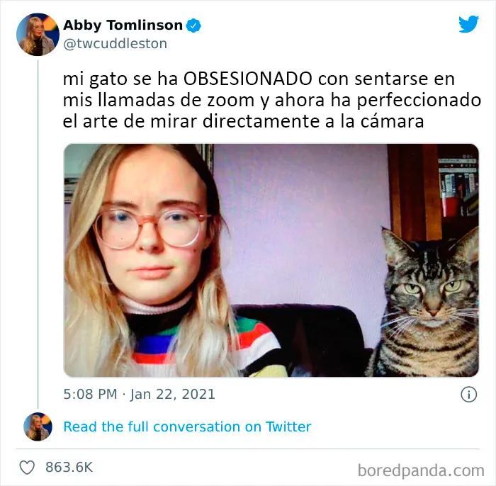 20 Tuits divertidos y acertados sobre la vida con perros y gatos