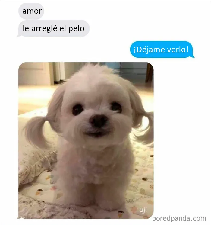 20 Publicaciones reconfortantes de este grupo de Facebook para restaurar tu fe en la humanidad