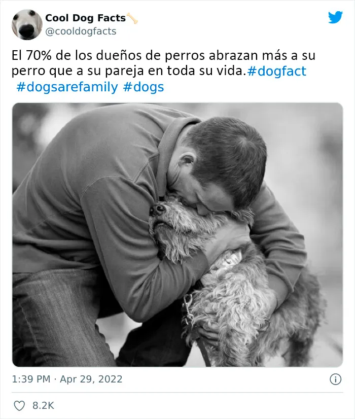 25 Tuits que demuestran que los perros son realmente los mejores amigos del hombre, compartidos por esta cuenta de Twitter