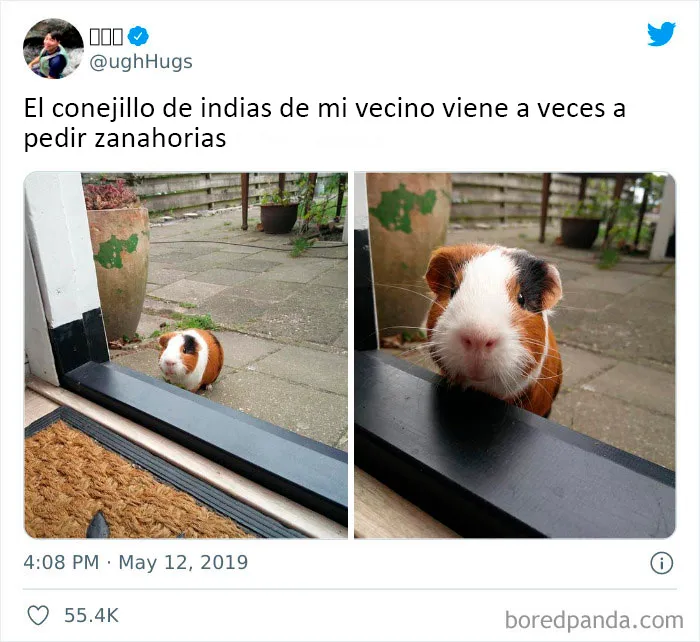 20 Publicaciones reconfortantes de este grupo de Facebook para restaurar tu fe en la humanidad