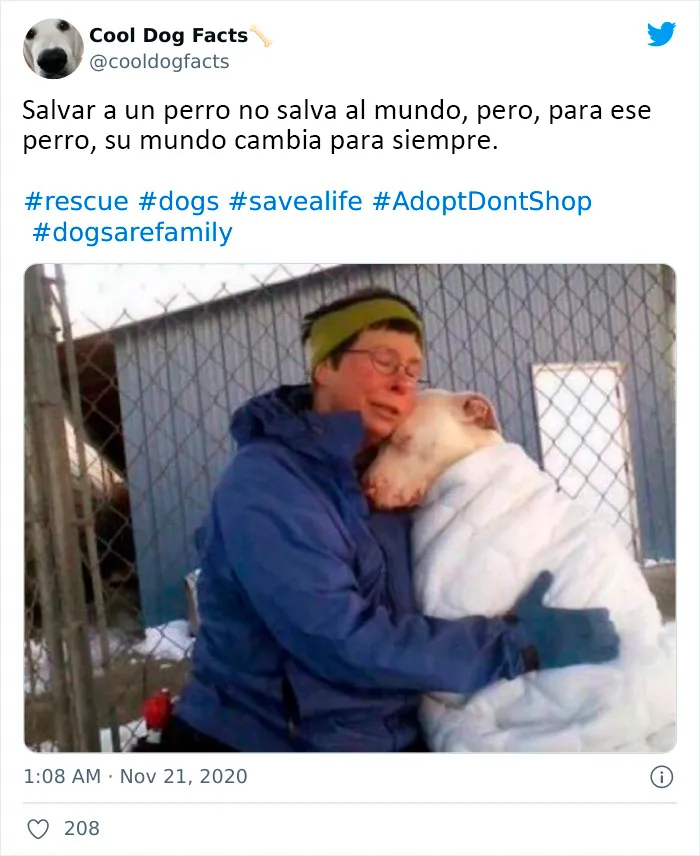 25 Tuits que demuestran que los perros son realmente los mejores amigos del hombre, compartidos por esta cuenta de Twitter