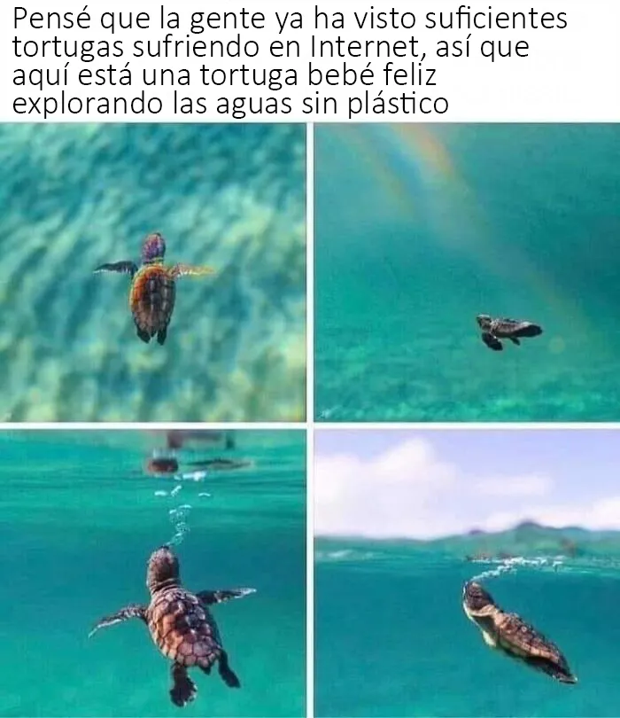 20 Publicaciones reconfortantes de este grupo de Facebook para restaurar tu fe en la humanidad