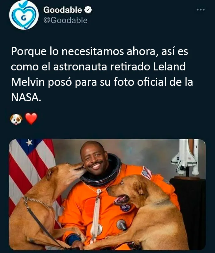 20 Publicaciones muy reconfortantes de esta cuenta de Instagram para llenarte de alegría