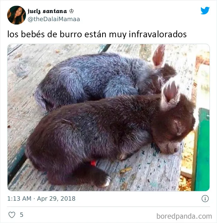 20 Publicaciones reconfortantes de este grupo de Facebook para restaurar tu fe en la humanidad