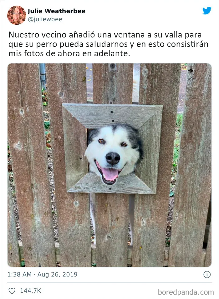 20 Publicaciones muy reconfortantes de esta cuenta de Instagram para llenarte de alegría