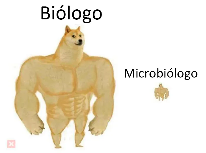 20 Memes de ciencia que han sido probados científicamente para causar risa (nuevas fotos)