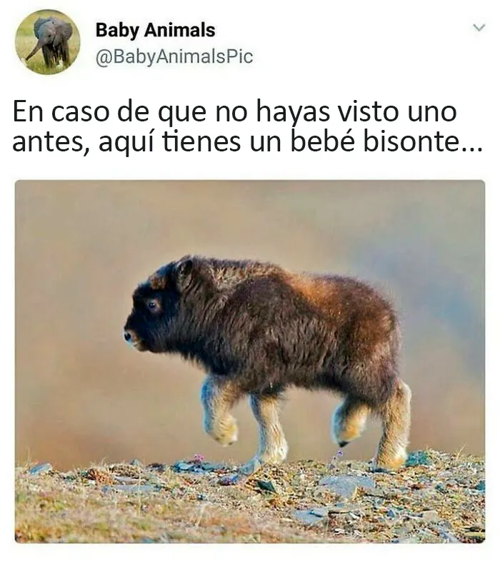 20 Publicaciones muy reconfortantes de esta cuenta de Instagram para llenarte de alegría