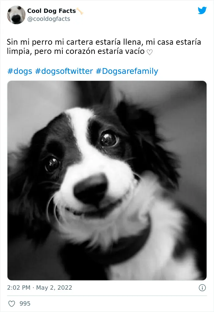 25 Tuits que demuestran que los perros son realmente los mejores amigos del hombre, compartidos por esta cuenta de Twitter