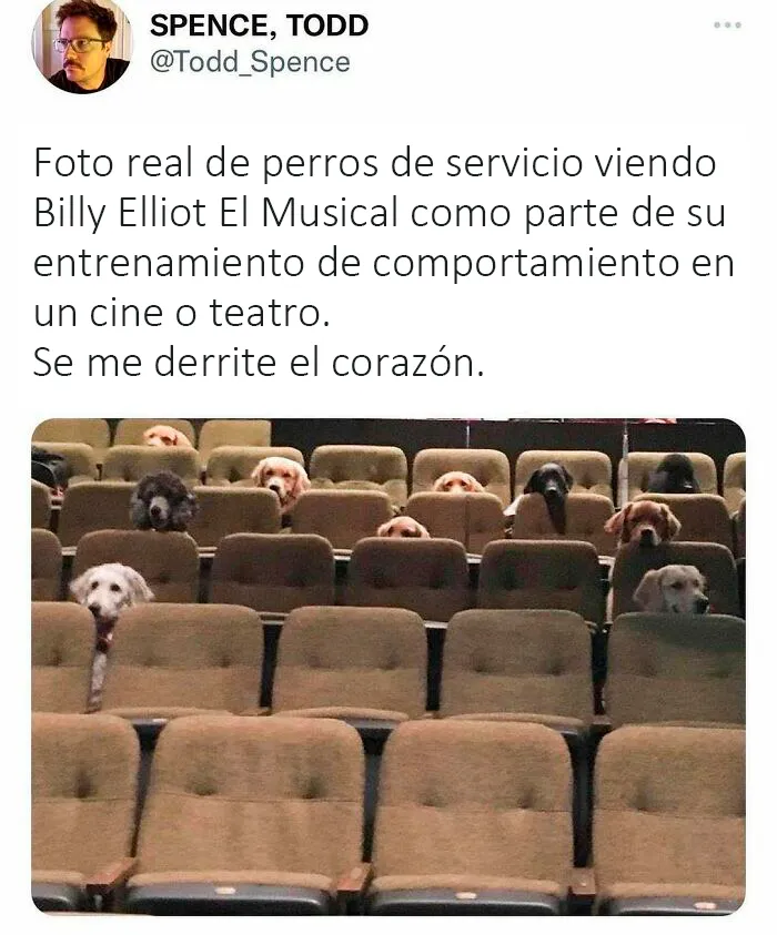 20 Publicaciones muy reconfortantes de esta cuenta de Instagram para llenarte de alegría