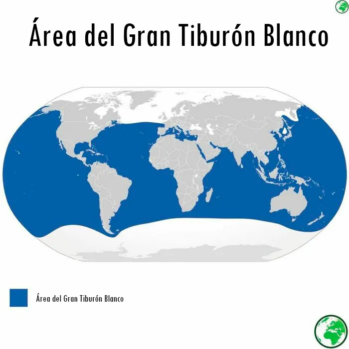 20 Mapas interesantes e informativos que podrían cambiar tu forma de ver el mundo para siempre