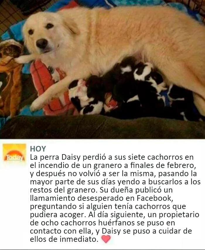 20 Publicaciones muy reconfortantes de esta cuenta de Instagram para llenarte de alegría