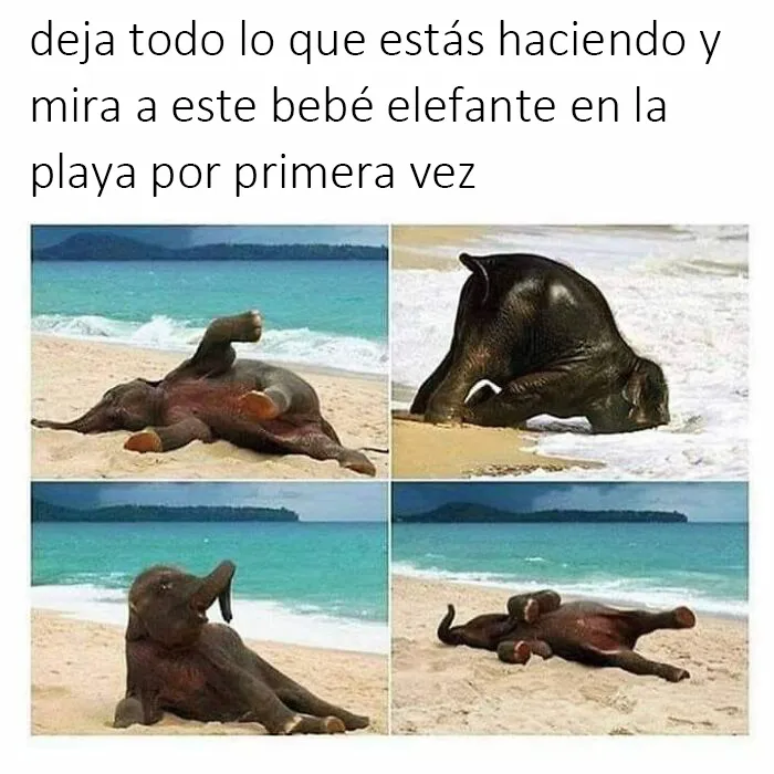 20 Publicaciones reconfortantes de este grupo de Facebook para restaurar tu fe en la humanidad